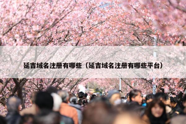 延吉域名注册有哪些（延吉域名注册有哪些平台）