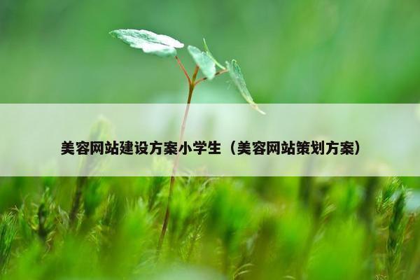 美容网站建设方案小学生（美容网站策划方案）