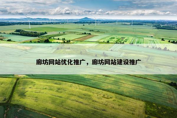 廊坊网站优化推广，廊坊网站建设推广