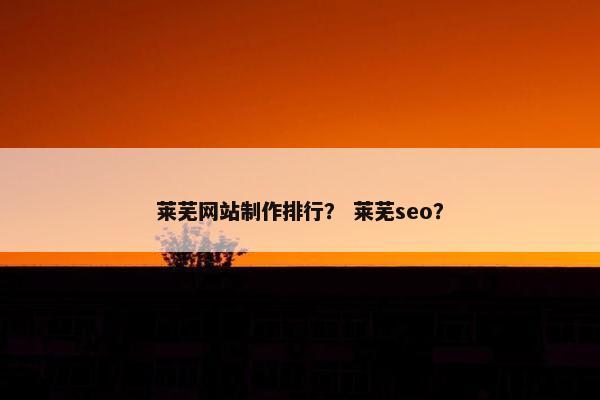 莱芜网站制作排行？ 莱芜seo？