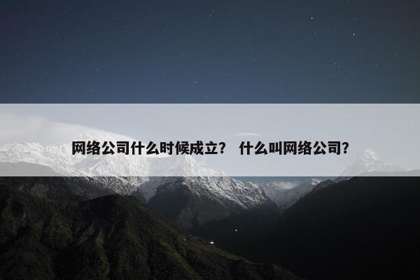 网络公司什么时候成立？ 什么叫网络公司？