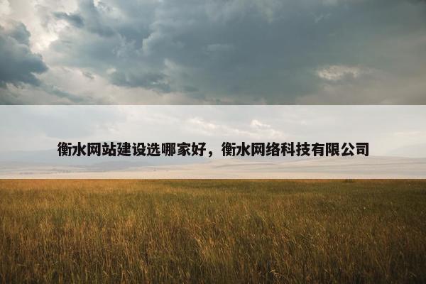 衡水网站建设选哪家好，衡水网络科技有限公司