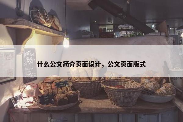 什么公文简介页面设计，公文页面版式