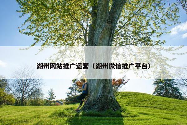 湖州网站推广运营（湖州微信推广平台）