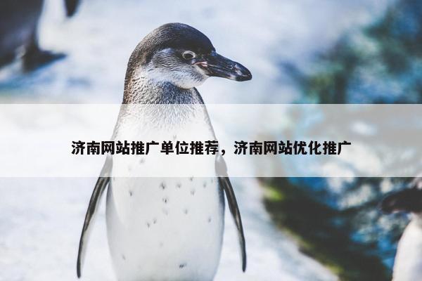 济南网站推广单位推荐，济南网站优化推广