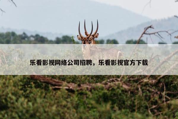 乐看影视网络公司招聘，乐看影视官方下载