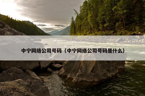 中宁网络公司号码（中宁网络公司号码是什么）