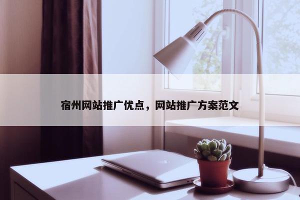 宿州网站推广优点，网站推广方案范文