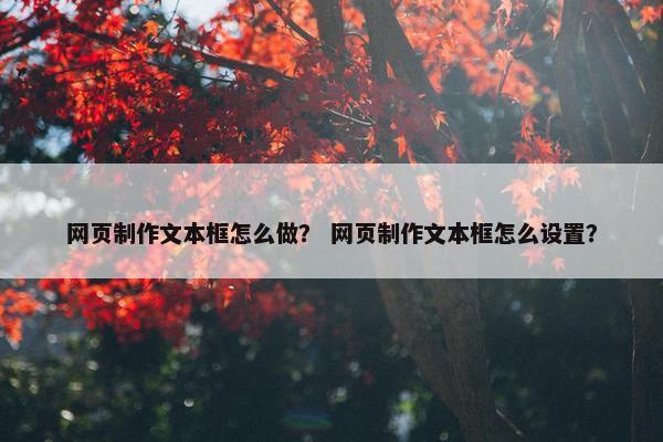 网页制作文本框怎么做？ 网页制作文本框怎么设置？
