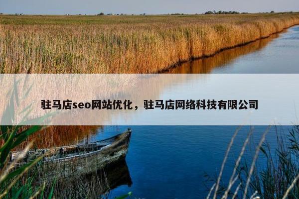 驻马店seo网站优化，驻马店网络科技有限公司