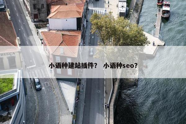 小语种建站插件？ 小语种seo？