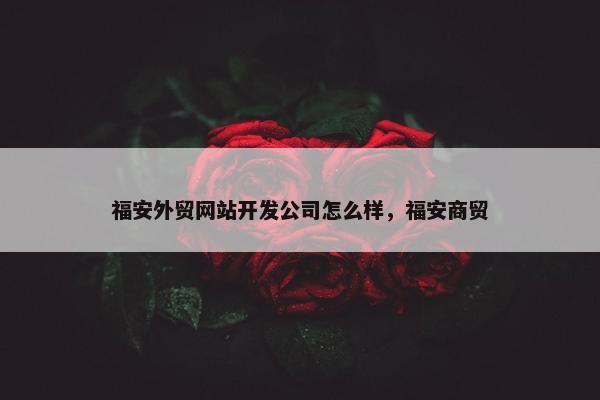 福安外贸网站开发公司怎么样，福安商贸
