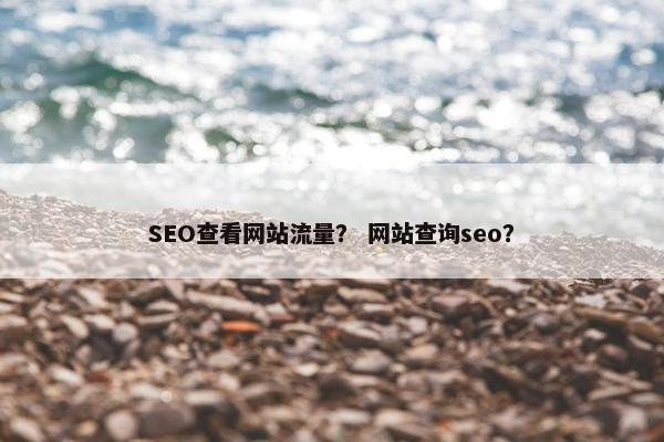 SEO查看网站流量？ 网站查询seo？
