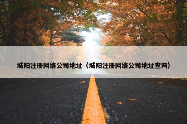 城阳注册网络公司地址（城阳注册网络公司地址查询）