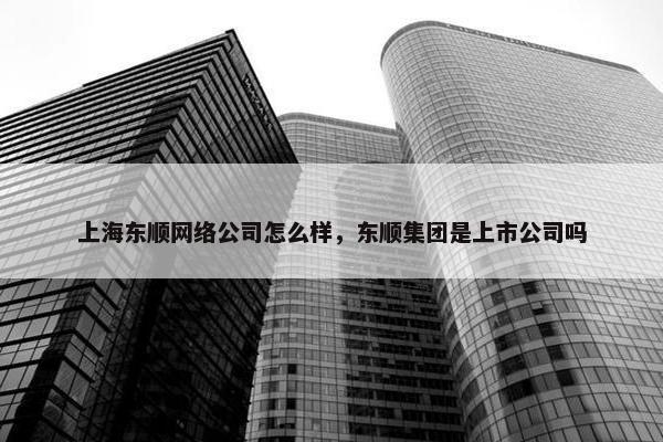 上海东顺网络公司怎么样，东顺集团是上市公司吗