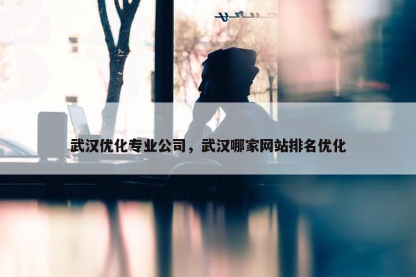 武汉优化专业公司，武汉哪家网站排名优化