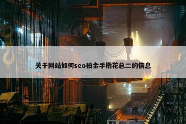 关于网站如何seo拍金手指花总二的信息