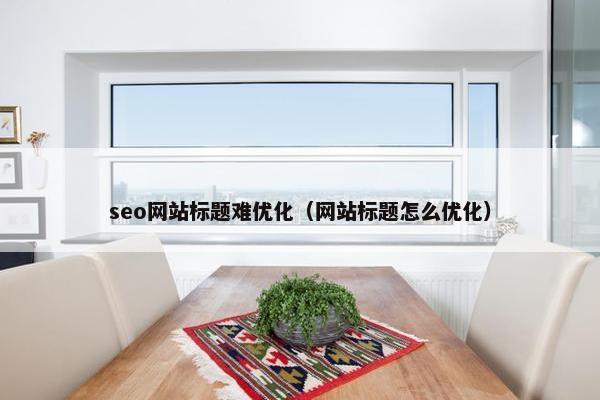 seo网站标题难优化（网站标题怎么优化）