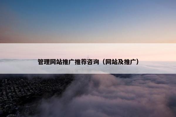 管理网站推广推荐咨询（网站及推广）