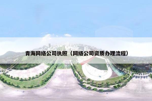 青海网络公司执照（网络公司资质办理流程）