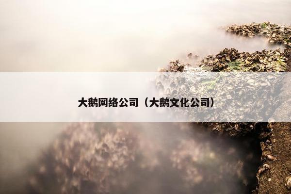 大鹅网络公司（大鹅文化公司）