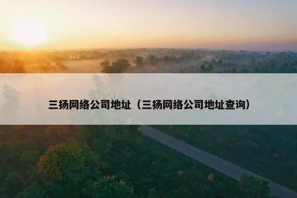 三扬网络公司地址（三扬网络公司地址查询）