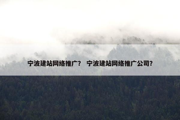 宁波建站网络推广？ 宁波建站网络推广公司？