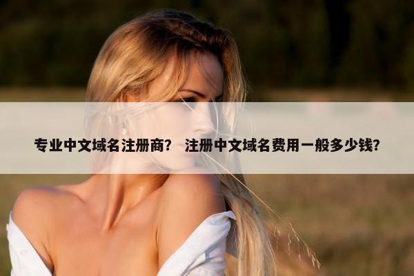 专业中文域名注册商？ 注册中文域名费用一般多少钱？