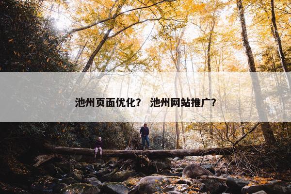 池州页面优化？ 池州网站推广？