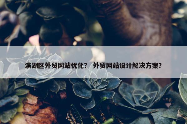 滨湖区外贸网站优化？ 外贸网站设计解决方案？