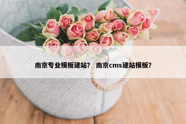 南京专业模板建站？ 南京cms建站模板？