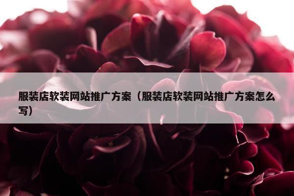 服装店软装网站推广方案（服装店软装网站推广方案怎么写）