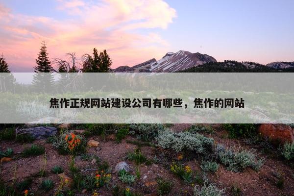 焦作正规网站建设公司有哪些，焦作的网站