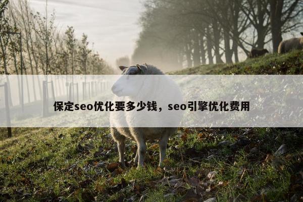 保定seo优化要多少钱，seo引擎优化费用