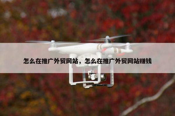 怎么在推广外贸网站，怎么在推广外贸网站赚钱