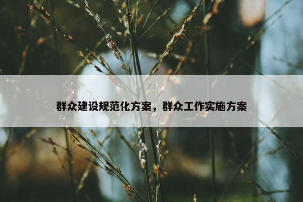 群众建设规范化方案，群众工作实施方案