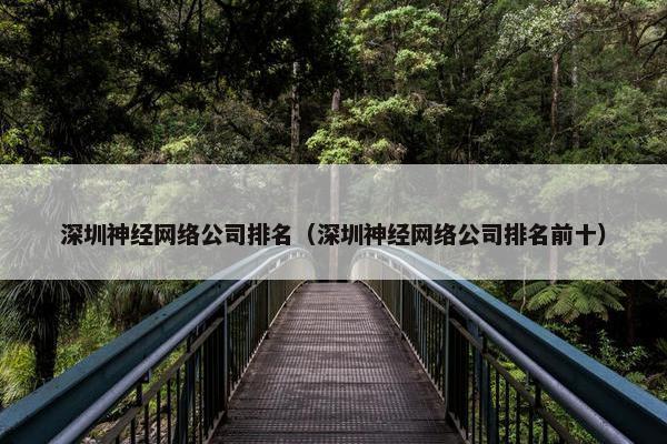 深圳神经网络公司排名（深圳神经网络公司排名前十）