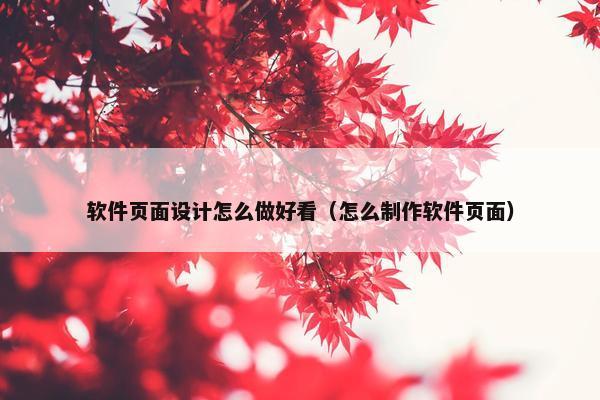 软件页面设计怎么做好看（怎么制作软件页面）