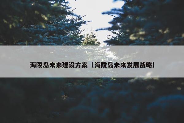 海陵岛未来建设方案（海陵岛未来发展战略）