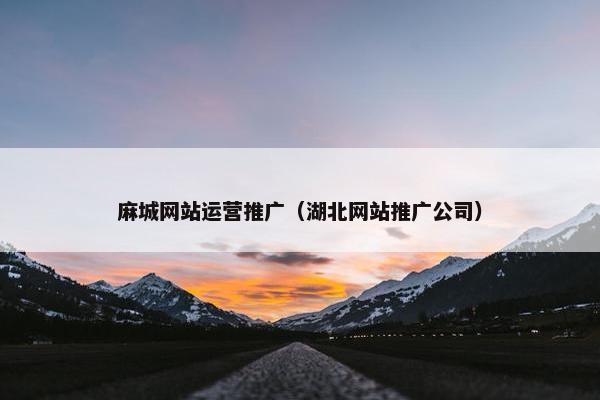 麻城网站运营推广（湖北网站推广公司）