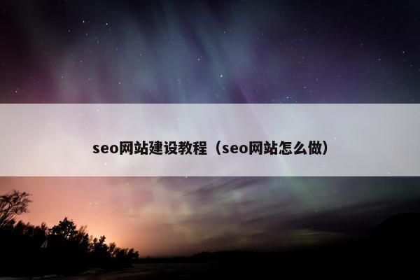 seo网站建设教程（seo网站怎么做）