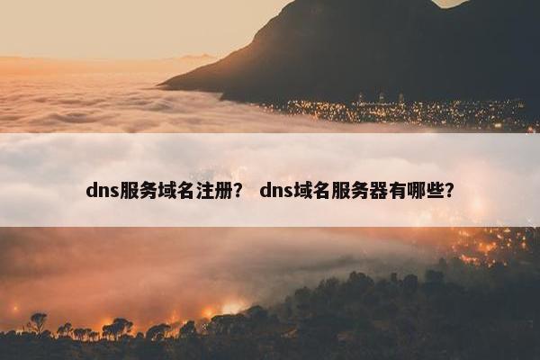 dns服务域名注册？ dns域名服务器有哪些？