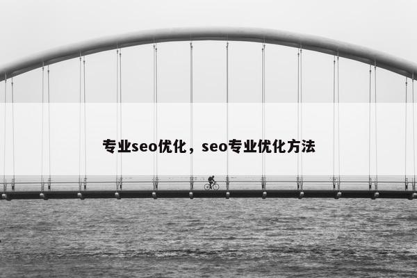 专业seo优化，seo专业优化方法