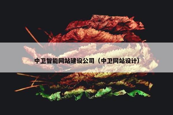 中卫智能网站建设公司（中卫网站设计）