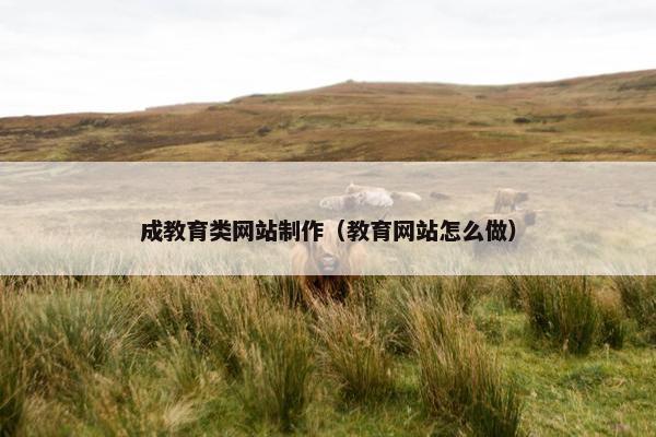 成教育类网站制作（教育网站怎么做）