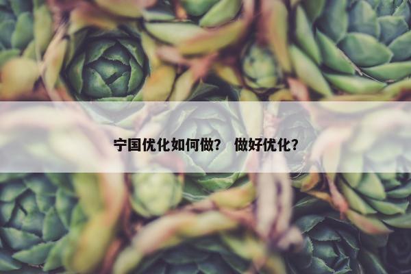 宁国优化如何做？ 做好优化？