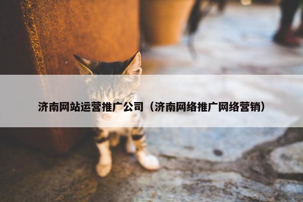 济南网站运营推广公司（济南网络推广网络营销）