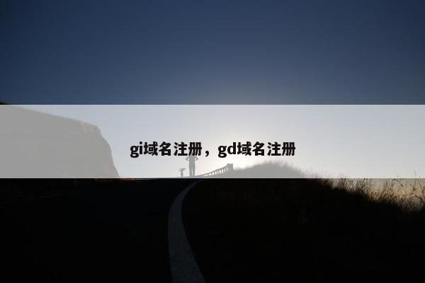 gi域名注册，gd域名注册