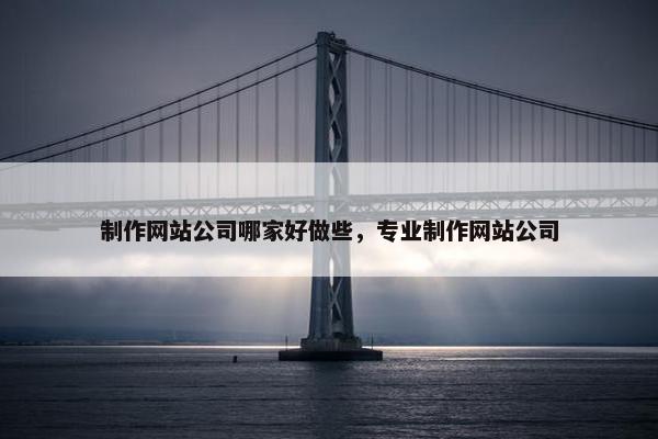 制作网站公司哪家好做些，专业制作网站公司