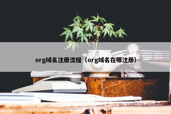 org域名注册流程（org域名在哪注册）